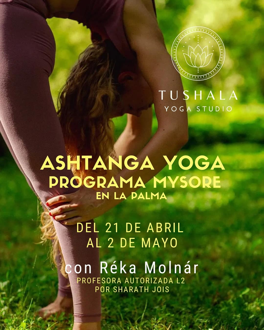 Ashtanga Yoga - Programa mysore