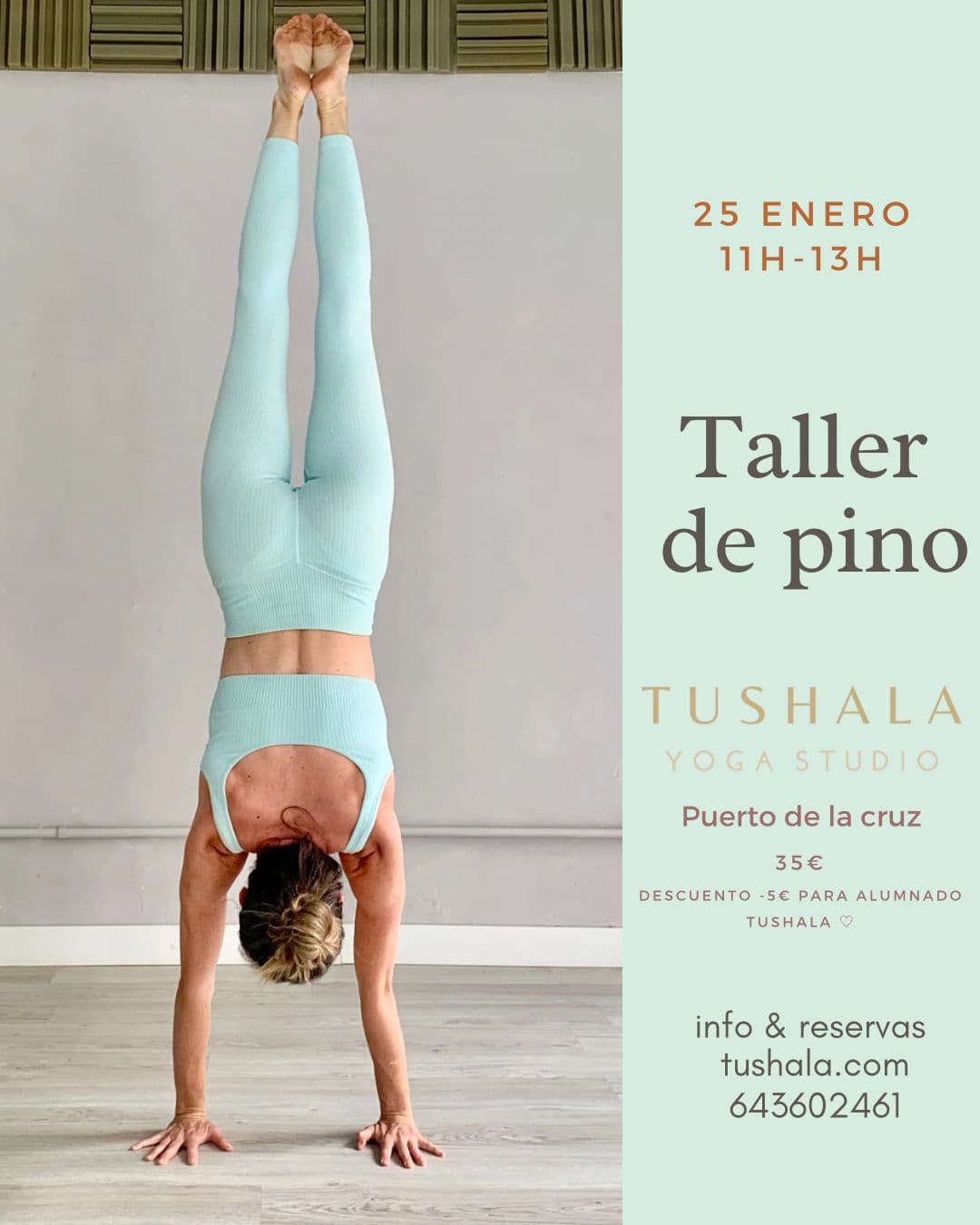 Handstand Workshop